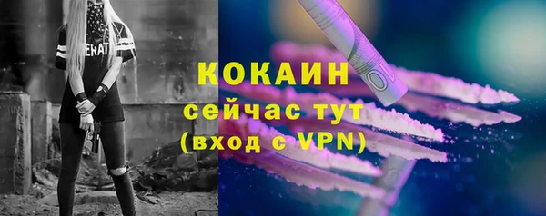крисы Коряжма