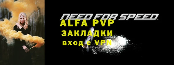 крисы Коряжма