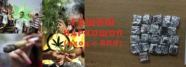 крисы Коряжма
