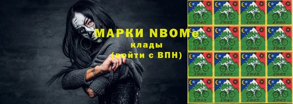 крисы Коряжма