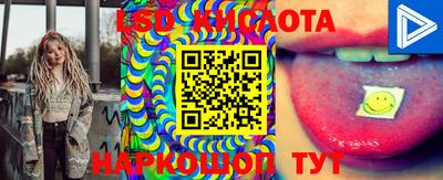 ПСИЛОЦИБИНОВЫЕ ГРИБЫ Кимры